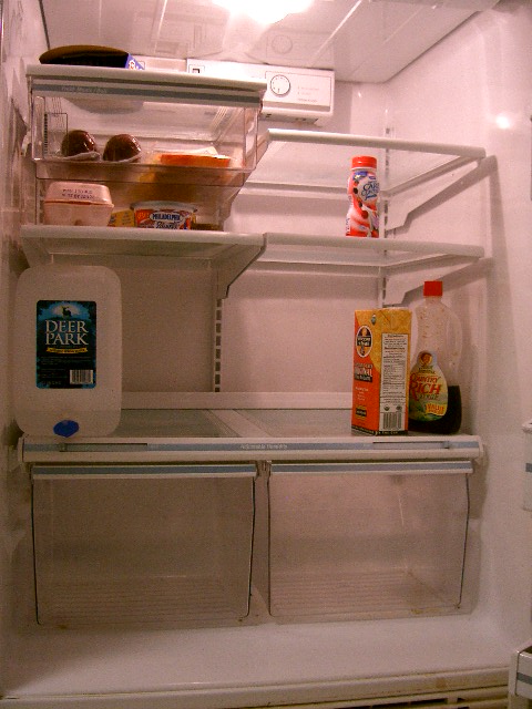 fridge3