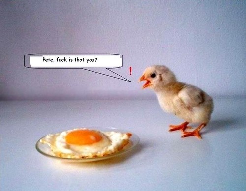 chicken & egg