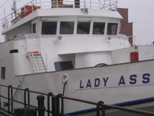 Lady Ass