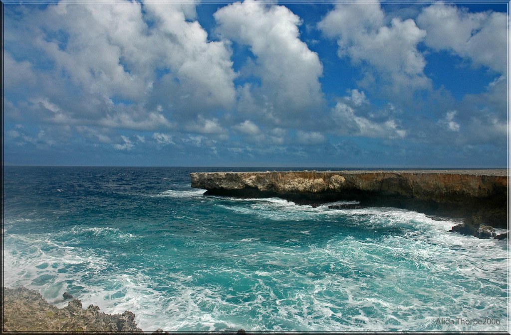 Bonaire's Windward Shore
