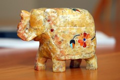 elephant from India