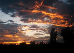 Evening Sunset In Arizona