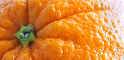 orange: close up best viewed large