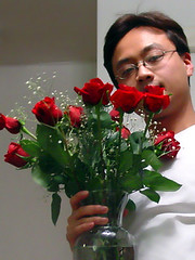 Valentine's Day Roses!