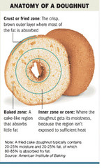 anatomy of a doughnut