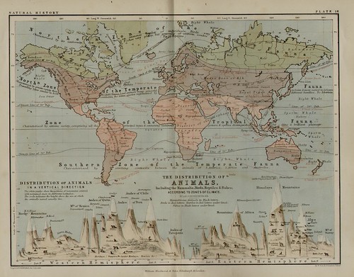 blackwood-and-sons_keith-johnsons-physical-school-atlas_1852_natural-history-distribution-of-animals