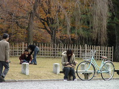 Kyoto: Imperial Gardens on the Verge of Winter