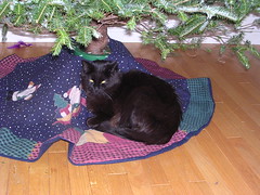 Ares settled under the tree