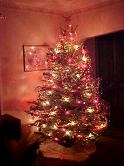 My Christmas Tree!