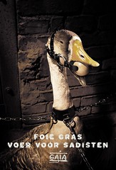 Foie gras - voer voor sadisten (Gaia)