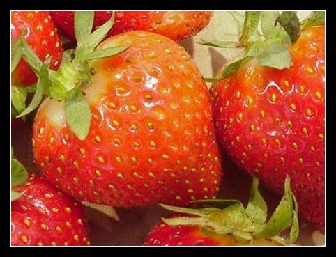 strawberry-450
