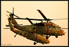 UH-60 Blackhawk " YANSHUF"  Israel Air Force