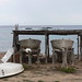Ibiza - Formentera: barche