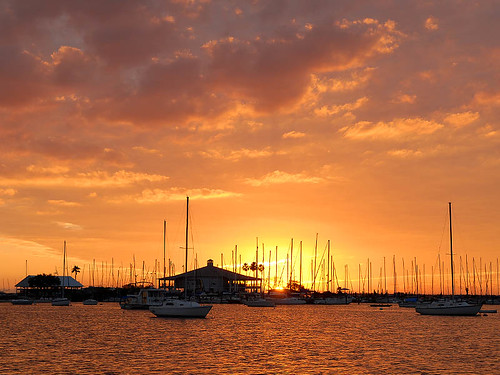 Sunset over Davis Islands Yacht Basin
