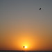 Ibiza - (Para)sailing across the sun