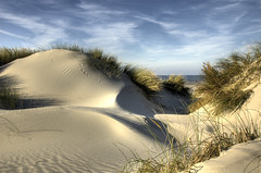 Dune by Dani℮l
