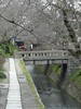 Filosofiaren pasealekua Kyoton