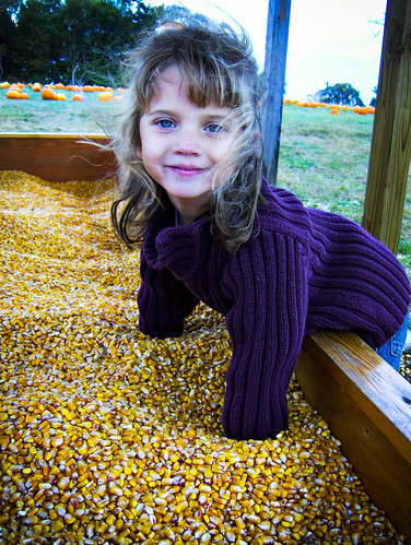 Hannah in the Corn