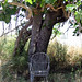 Ibiza - chair in the shade