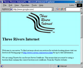 www.Google.com leads to Three Rivers Internet site instead
