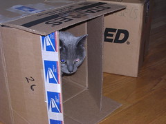 Artemis in a box