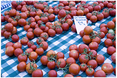 tomatoes redux