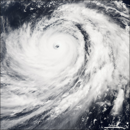 Typhoon #14 