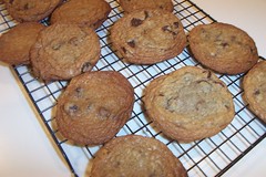 The Chewy - Chocolate Chip Cookies