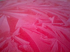 Frost on car roof 1