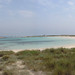 Formentera - 2006-Formentera-Playa de Illetes (2)