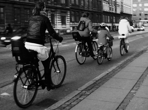 Bike Lane Inhabitants (by [Zakkaliciousness])