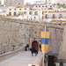 Ibiza - Espectáculo medieval.