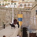 Ibiza - Espectáculo medieval 2.