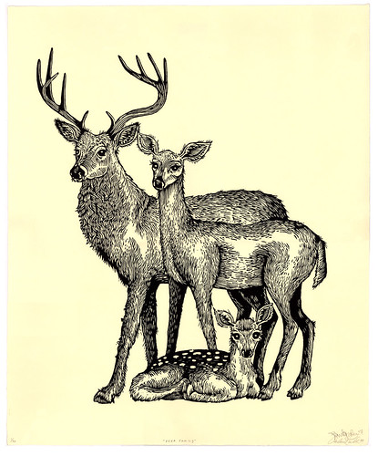 Doe Deer Drawing. stag drawing doe deer