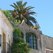 Ibiza - Ibiza - Old Town [1340]