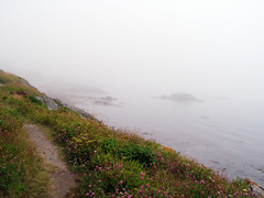 Clear Path, Foggy Sea