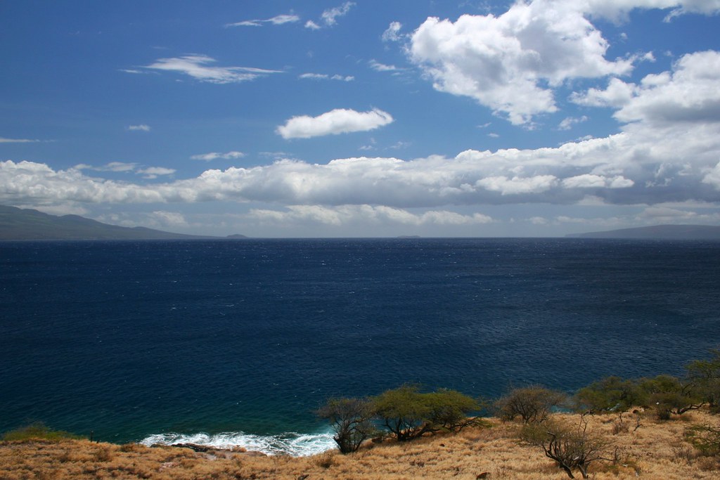 View from Papawai Scenic Lookout