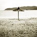 Ibiza - L'ombrellone...