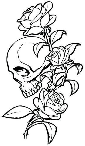  roses art tattoo illustration pen ink skull drawing conceptViews 82086