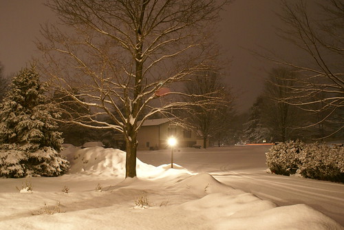 Snowy Night