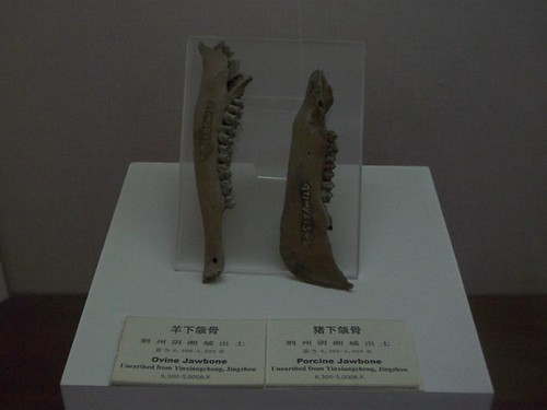 Jingzhou Museum