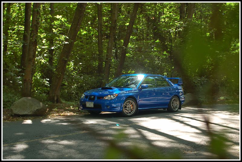 STI from behind a tree