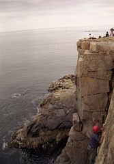 acadia sea cliffs