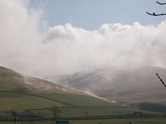 Mist rising from a hillside