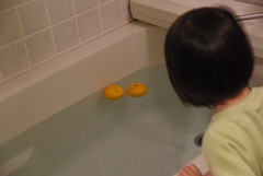 柚子湯 / Citron Bath (by detch*)