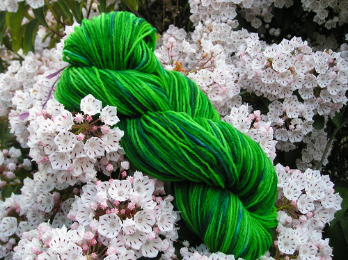 Dye o rama yarn 1