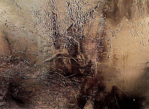 'Fallen tree in Autumn Rain' by Michael Porter