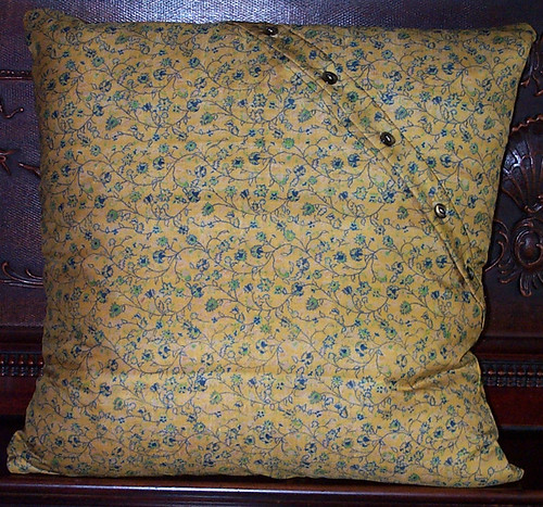 TPillow2Back