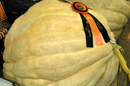 840-lb. Pumpkin