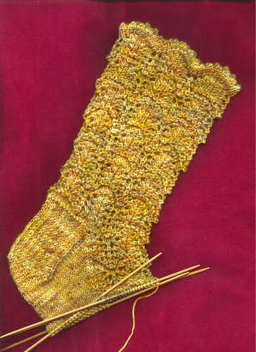 scallops sock 2